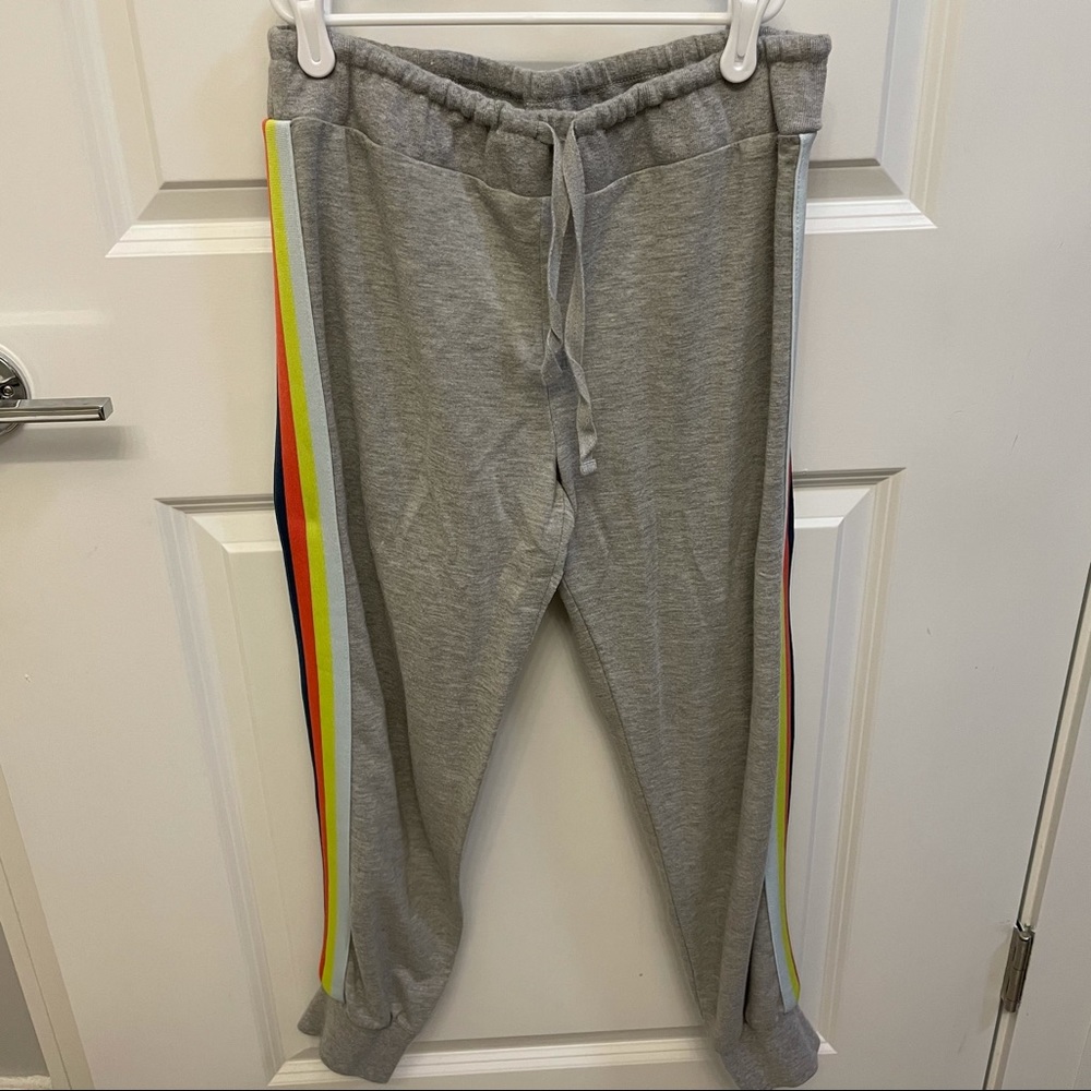 Wild fable sweatspants